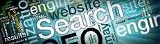 Search Engine Optimization